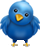 Follow us on twitter