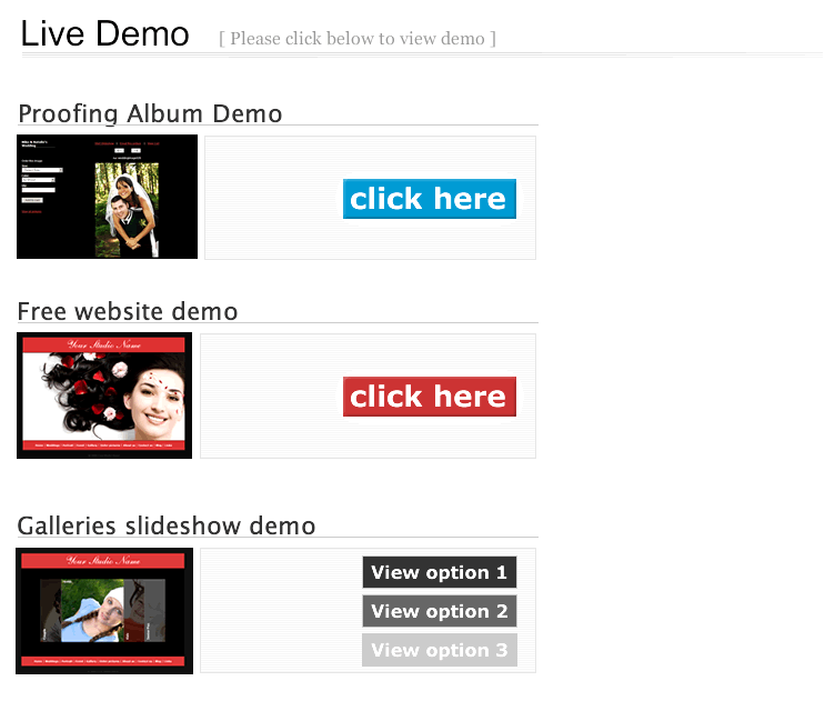 live demo website for photographers