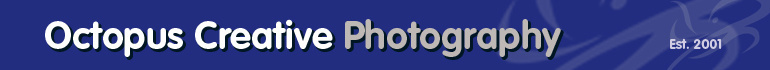 Octopus Creative Ltd - For Wedding packages & pricing click on Gallery then Weddings - Stand out from the crowd