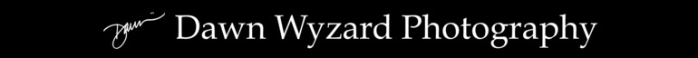 Dawn Wyzard Photography