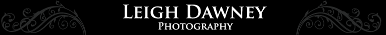 Leigh Dawney Photography