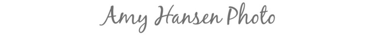 Amy Hansen Photo