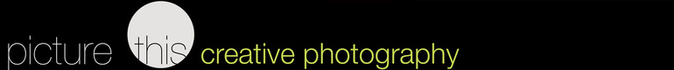 picture this creative photography