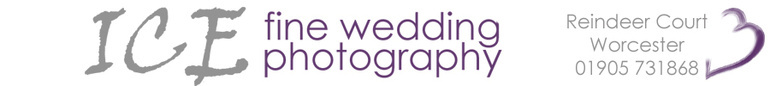 Ice Fine Wedding Photography