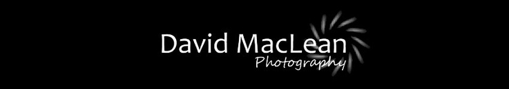 David MacLean Photography