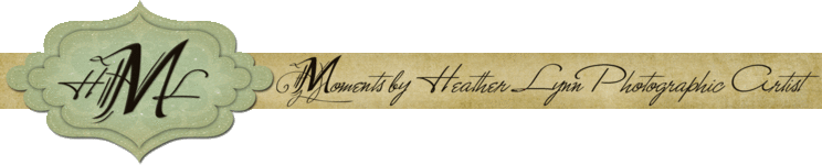 Moments by Heather Lynn Photographic Artist