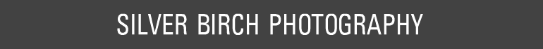Silver Birch Photography