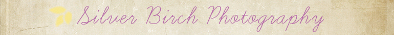 Silver Birch Photography