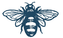 The Blue Bee | Photography