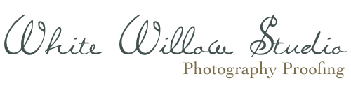 White Willow Studio