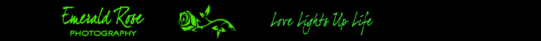 Emerald Rose Photography