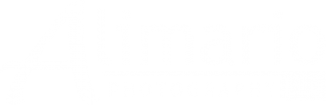 AlimarioPhoto LLC