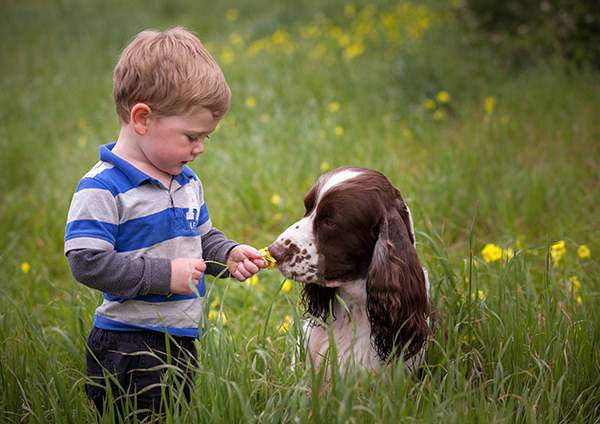 Pet photography from Animal Images