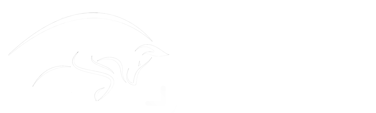 Oxford Dog Photography