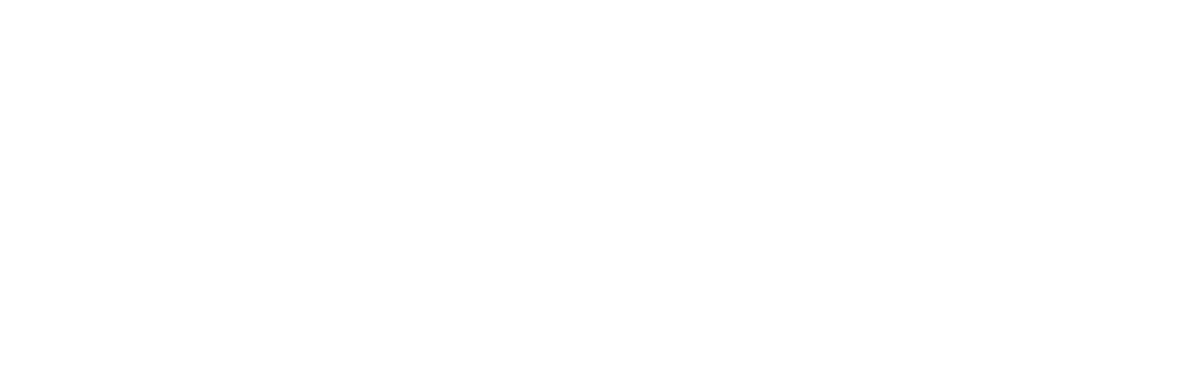AlimarioPhoto LLC