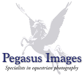Pegasus Images
