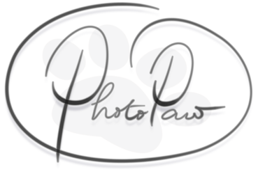 Photo Paw