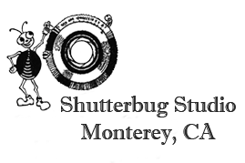 Shutterbug Studio