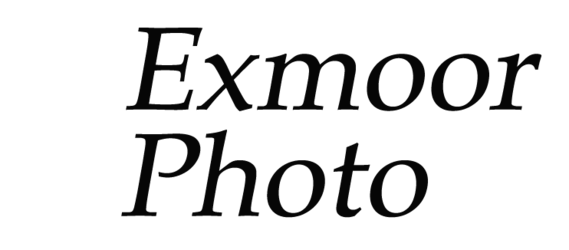 Exmoor Photo