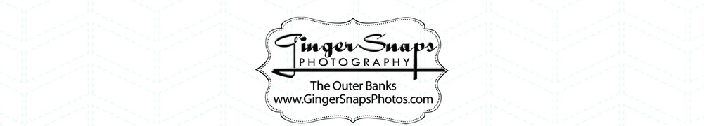 GingerSnaps Photography
