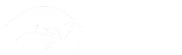 Oxford Dog Photography