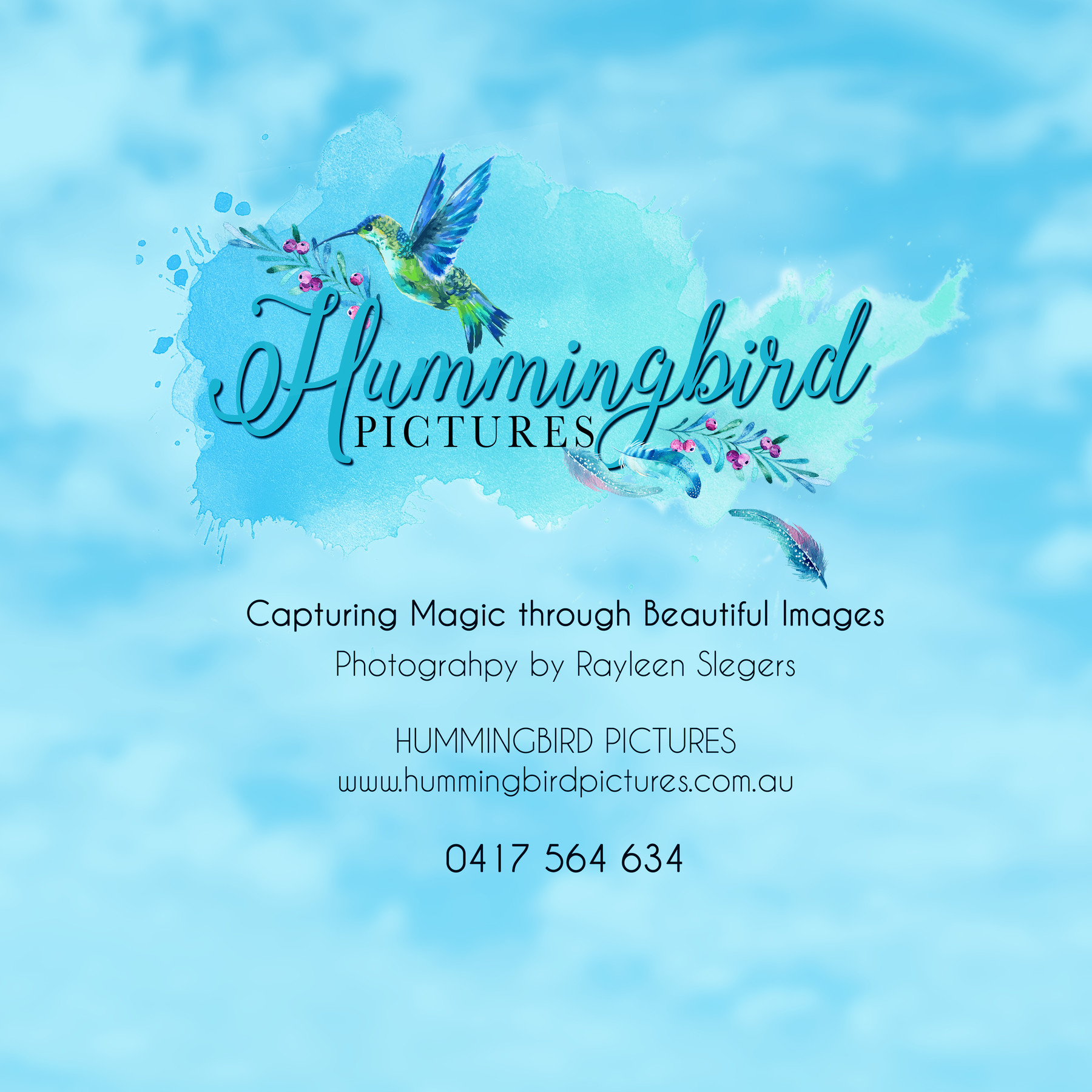 Hummingbird Pictures