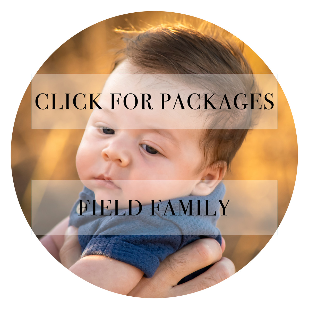 Field family photography