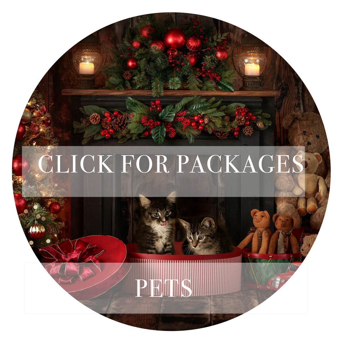 Pets 