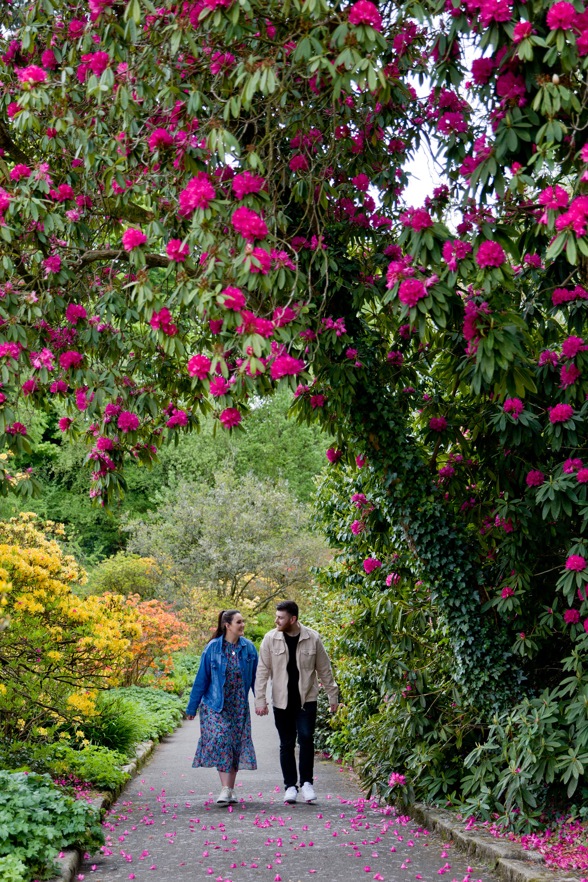 engagement photographer lady dixon park