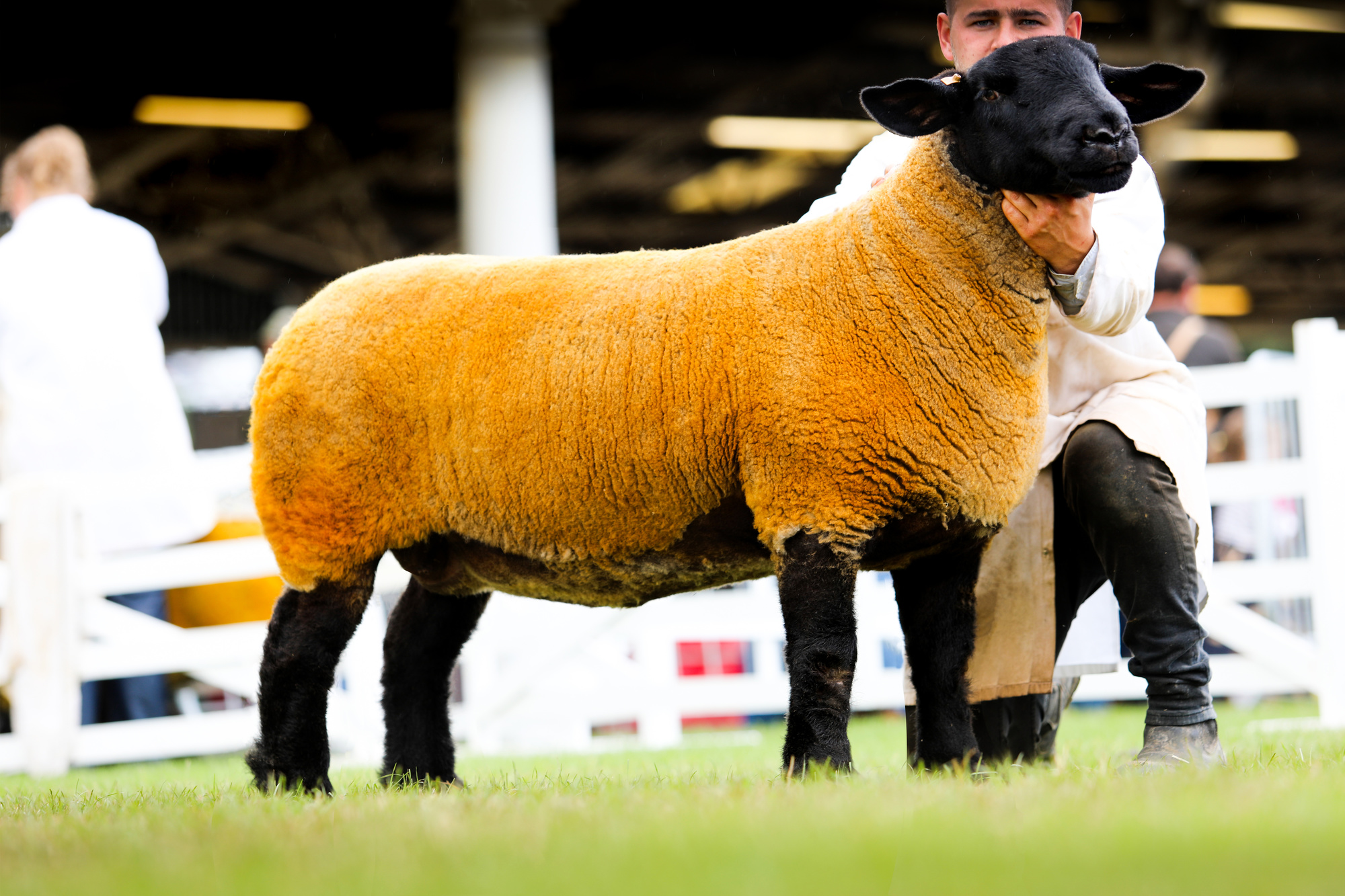 Isla Campbell Photos