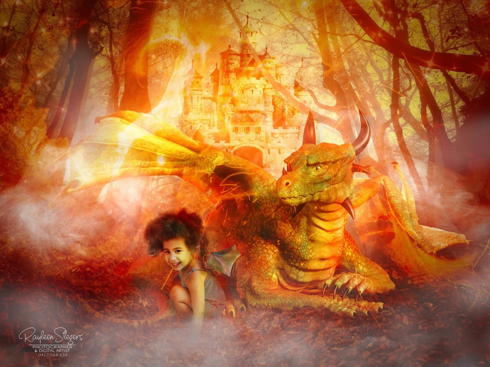 Portfolio Gallery