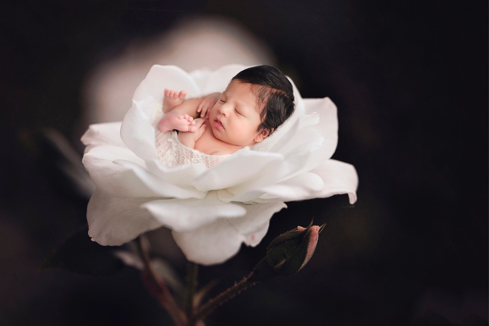 Megan Hancock Photography Newborn And Baby Photos Maternity Child And Family Photography And Pictures Based In Kloof Durban Flower child stock photos and images. megan hancock photography newborn and