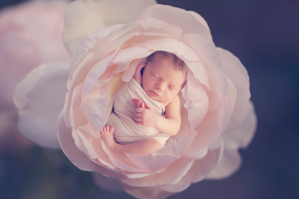 baby in a flower